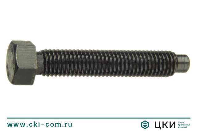Болт DIN 561