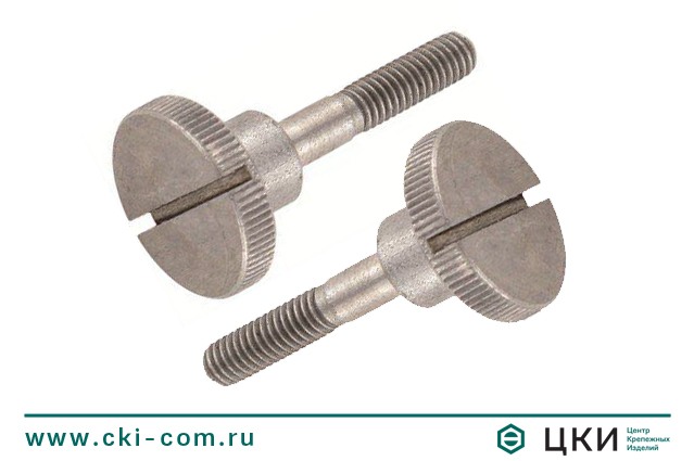Винт DIN 465