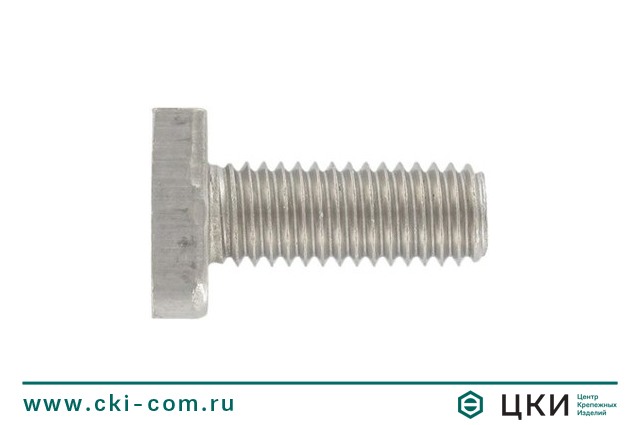 Болт с Т-образной головкой 38/17 art.9096