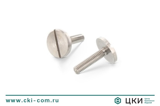 Винт DIN 921