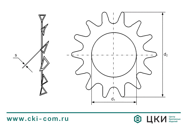 Шайба стопорная зубчатая DIN 6797