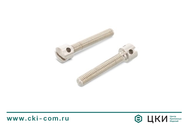 Винт DIN 404 пломбировочный