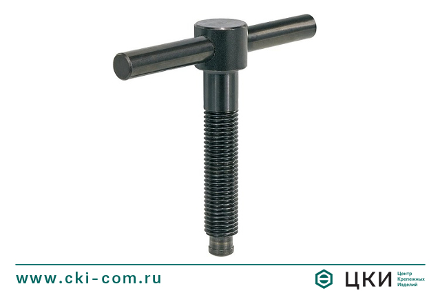 Винт воротковый DIN 6304