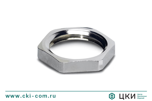 Гайка плоская с уменьшенным размером DIN 80705