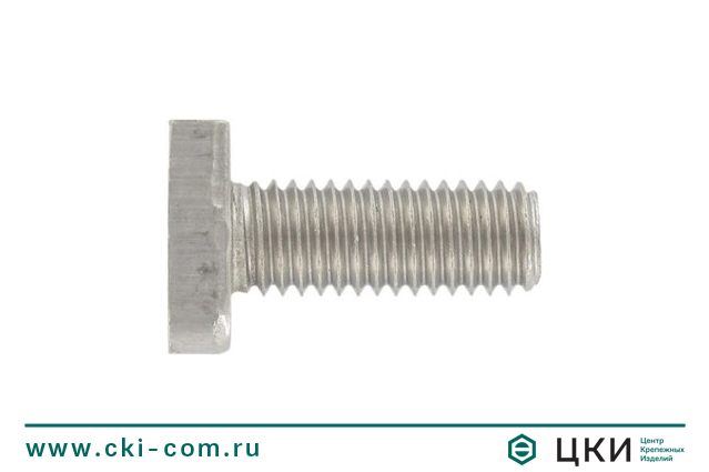 Болт с Т-образной головкой 38/17 art.9096