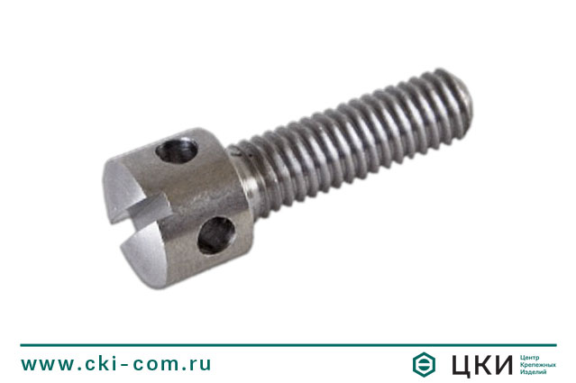Винт DIN 404 пломбировочный