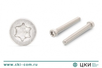 Винт с низкой цилиндрической головой ISO14580 М5х8, нерж. сталь A2, TX 25