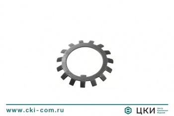 Шайба стопорная многолапчатая DIN 5406